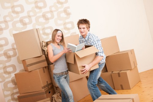 Protective packing materials and cartons for local moves